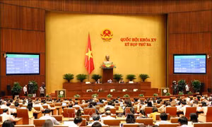 Điều chỉnh Chương trình xây dựng luật, pháp lệnh năm 2022