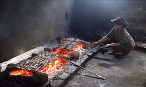 Độc đáo nghề nướng cá biển bằng than hoa ở Diễn Bích