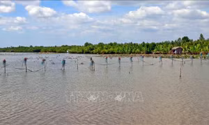 Gỡ khó để 'biển hồ' Đầm Thị Tường phát triển tương xứng với tiềm năng