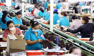 Tăng năng suất lao động: Chính sách tốt thực hiện chậm vẫn chỉ là chính sách