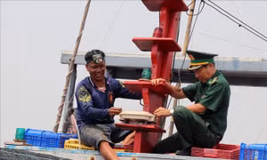 Nghiệp đoàn nghề cá tạo sự chuyển biến trong chống khai thác IUU