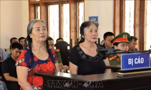 Phạt tù hai đối tượng đăng tải nội dung xuyên tạc trên mạng xã hội