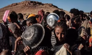 LHQ cam kết phối hợp với Chính phủ Sudan giải quyết khủng hoảng nhân đạo