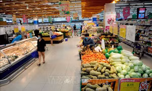 Thương hiệu Vàng TP Hồ Chí Minh - Bài 1: Phát triển cộng đồng doanh nghiệp dẫn đầu