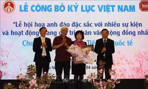 Lễ hội hoa anh đào xác lập kỷ lục Việt Nam
