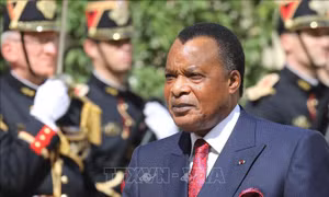Điện chúc mừng Tổng thống Cộng hòa Congo
