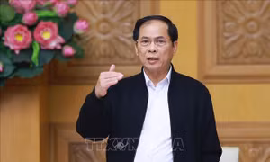 Phó Thủ tướng Bùi Thanh Sơn: Chủ động rà soát, triển khai cam kết hợp tác đã ký kết trong các hoạt động đối ngoại cấp cao