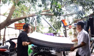 Quận Hoàn Kiếm vận động di dời 46 hộ ven sông Hồng khỏi khu vực nguy hiểm