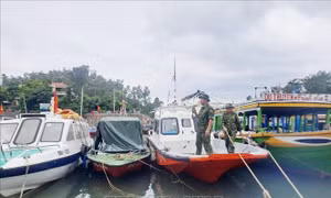 Hội Chữ thập đỏ Việt Nam họp ứng phó khẩn cấp với bão Noru
