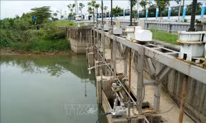 Phòng ngừa xâm nhập mặn, đảm bảo cấp nước cho thành phố Đà Nẵng