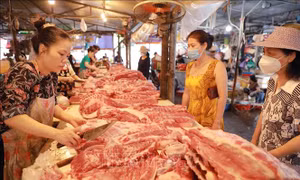 Nguyên nhân dẫn đến giá hàng hóa tăng nhanh, giảm chậm