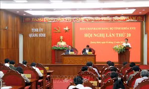 Các địa phương tăng tốc phát triển kinh tế, chú trọng xây dựng Đảng