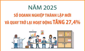 Năm 2025, số doanh nghiệp thành lập mới và quay trở lại hoạt động tăng 27,4%