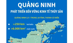 Quảng Ninh phát triển bền vững kinh tế thủy sản