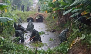Thanh Hóa huy động bộ đội, dân quân gặt lúa, khơi thông dòng chảy giúp nhân dân
