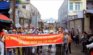 Đề xuất tạm ứng ngân sách trả lương cho công nhân Công ty TNHH KaiYang Việt Nam