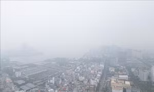 Lộ trình cho môi trường xanh
