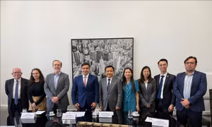 Thúc đẩy tiềm năng hợp tác Việt Nam - Brazil