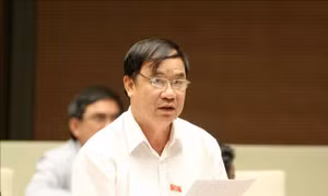 Dự thảo Luật Phòng chống tác hại rượu, bia: Đừng 'nhân danh' phát triển kinh tế, giải quyết việc làm