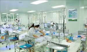 Đảng viên sinh con thứ 3 trở lên không bị kỷ luật