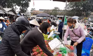 Hoa quả phục vụ Tết tăng mạnh