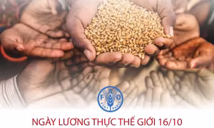 Ngày Lương thực Thế giới 16/10: Khủng hoảng lương thực đang lan rộng