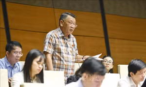 Kỳ họp thứ 9, Quốc hội khóa XV: Áp dụng nguyên tắc 'có đi có lại' trong tương trợ tư pháp về hình sự 