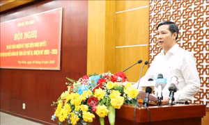Tây Ninh nỗ lực thực hiện các chỉ tiêu Nghị quyết Đại hội Đảng bộ tỉnh lần thứ XI