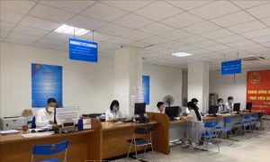 Chính sách hỗ trợ doanh nghiệp nổi bật của địa phương tuần qua