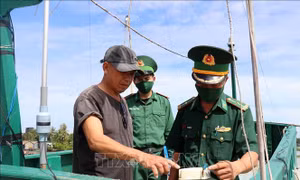 Xử lý triệt để các tàu cá vi phạm giám sát hành trình, mất kết nối trên biển