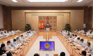 Phó Thủ tướng Nguyễn Chí Dũng: Doanh nghiệp Nhà nước phải nắm giữ lĩnh vực then chốt và tiên phong trong lĩnh vực mới