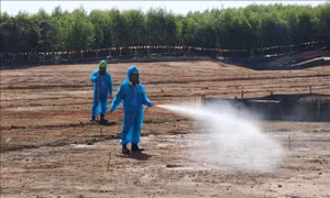 Việt Nam - Bỉ chung tay vì một môi trường không còn di chứng dioxin