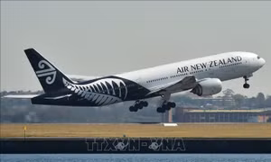 Một máy bay của hãng Air New Zealand bị đe dọa đánh bom