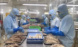 Thủy sản Việt thay đổi tư duy để chinh phục thị trường nội địa