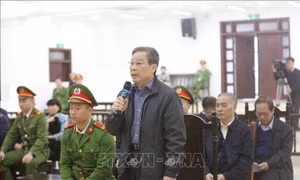 Bị cáo Nguyễn Bắc Son xin lỗi vì đã nhất thời không vượt qua được chính mình