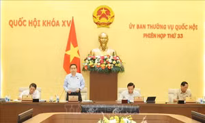 Đánh giá toàn diện kết quả triển khai các giải pháp quản lý thị trường vàng