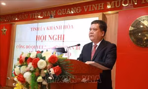 Điều động, chỉ định đồng chí Trần Phong giữ chức Phó Bí thư Tỉnh ủy Khánh Hòa