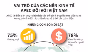 Vai trò của các nền kinh tế APEC đối với Việt Nam