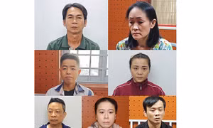 Vụ cướp giật tại Khu du lịch Tân Huê Viên: Bắt tạm giam thêm 7 nghi phạm