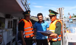 Chấm dứt triệt để tàu cá ngư dân Việt Nam khai thác trái phép hải sản 