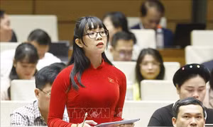 Nghị quyết phê chuẩn đại biểu Quốc hội hoạt động chuyên trách khóa XVI