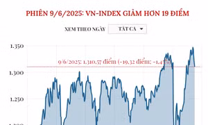 Phiên 9/6/2025: VN-Index giảm hơn 19 điểm