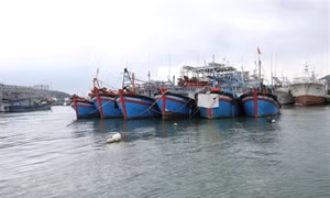 Khắc phục 'thẻ vàng' IUU: Tuyên truyền ngư dân tuân thủ, không xâm phạm vùng biển nước ngoài