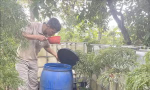 Giám sát để mô hình phân loại rác tại nguồn phát huy hiệu quả