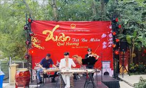 Đưa 'Tết ba miền' đến với 'xứ sở Chuột túi'