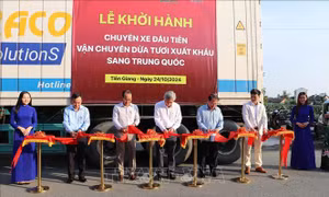 Tiền Giang xuất khẩu lô dừa tươi chính ngạch đầu tiên sang Trung Quốc