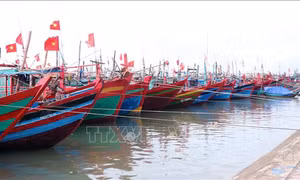 Hà Tĩnh kiểm tra, hướng dẫn neo đậu tàu thuyền an toàn trước bão Noru