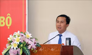 Ông Lê Hoàng Hải giữ chức Phó Chủ tịch HĐND tỉnh Bà Rịa - Vũng Tàu