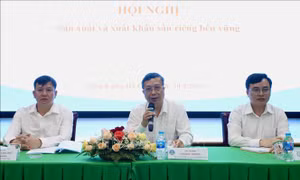 Diện tích sầu riêng tăng 'nóng' tiềm ẩn nhiều rủi ro 