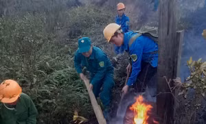 Cấp bách ngăn cháy rừng lan rộng ở Vườn Quốc gia Hoàng Liên